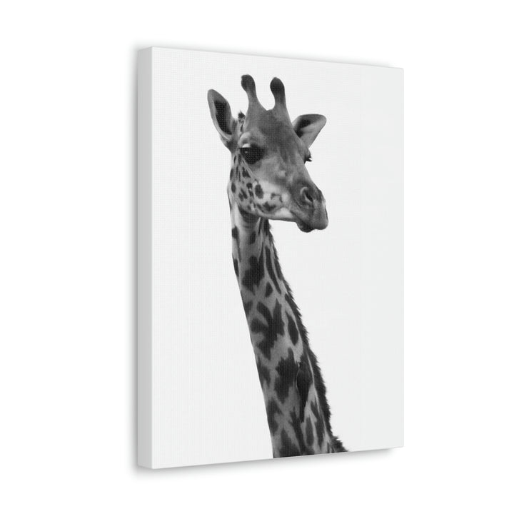 Giraffe Portrait in Black and White  - Canvas