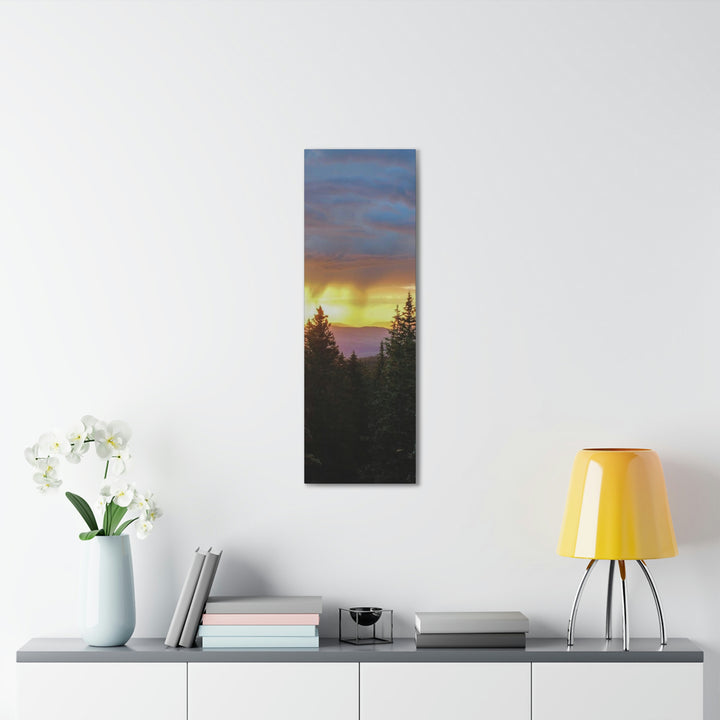 Rainy Sunset Through the Trees - Canvas