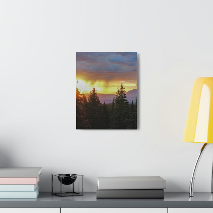 Rainy Sunset Through the Trees - Canvas