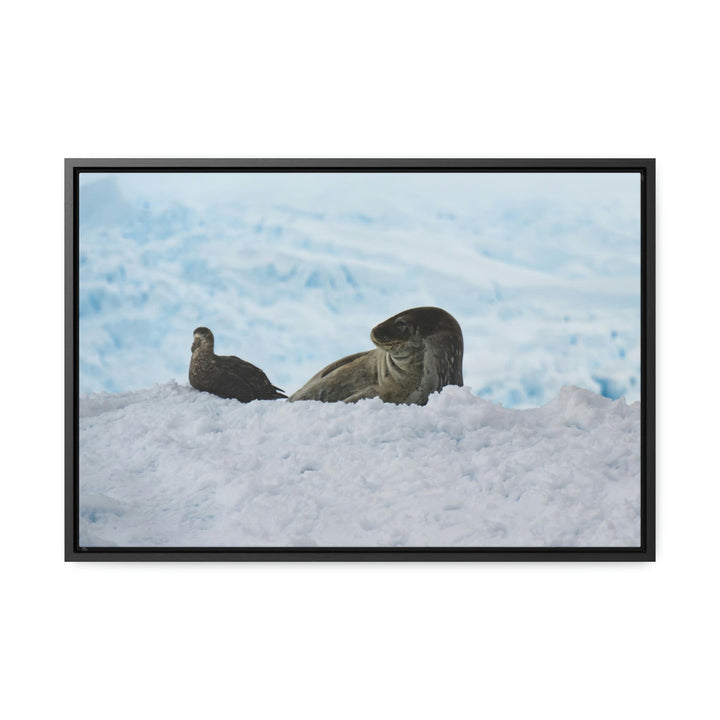 A Resting Pair - Canvas with Frame