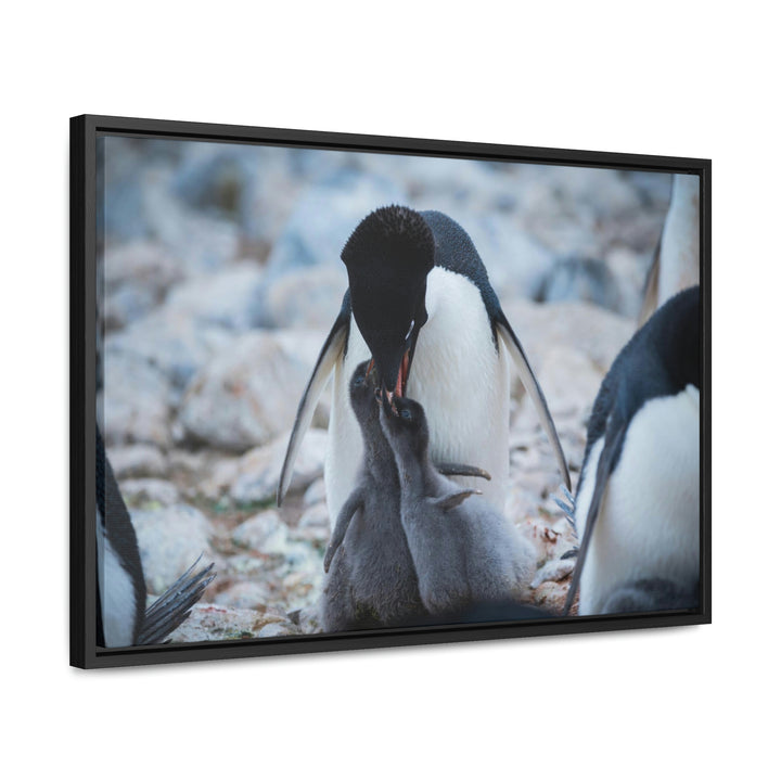 Feeding Time - Canvas with Frame