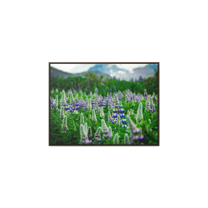 Glowing Lupin with Mountains - Canvas with Frame