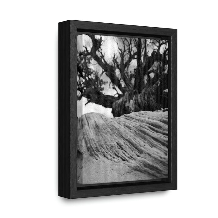 Desert Reach in Black and White - Canvas with Frame