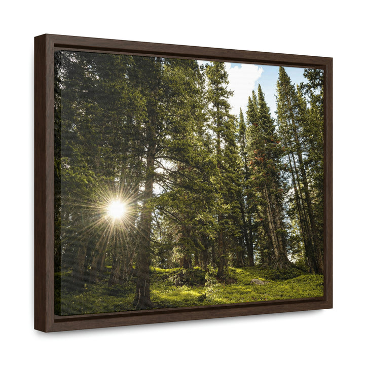 Forest Light - Canvas with Frame