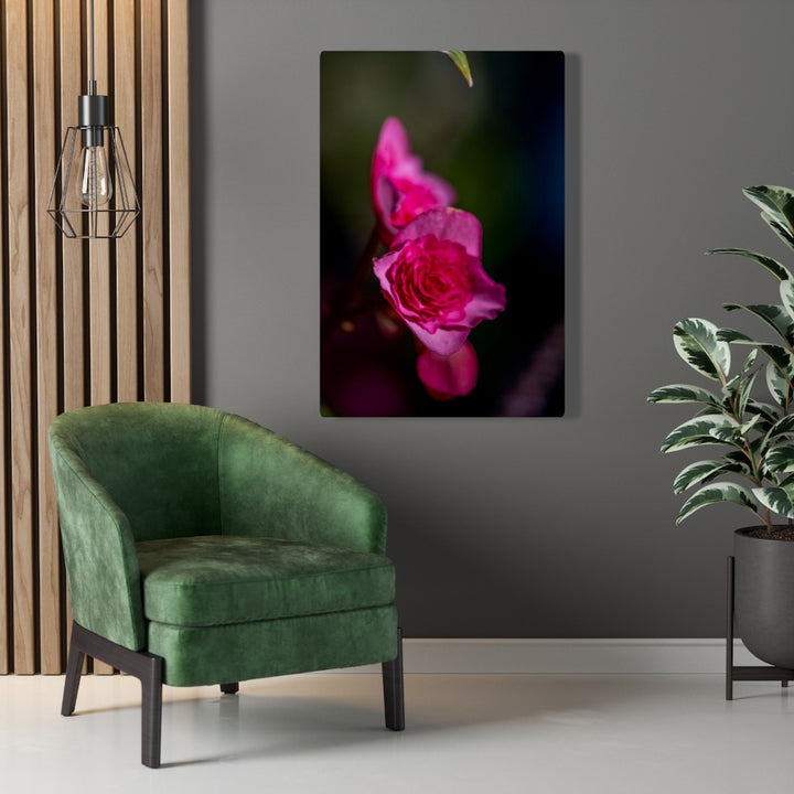 Hybrid Tea Lily - Canvas