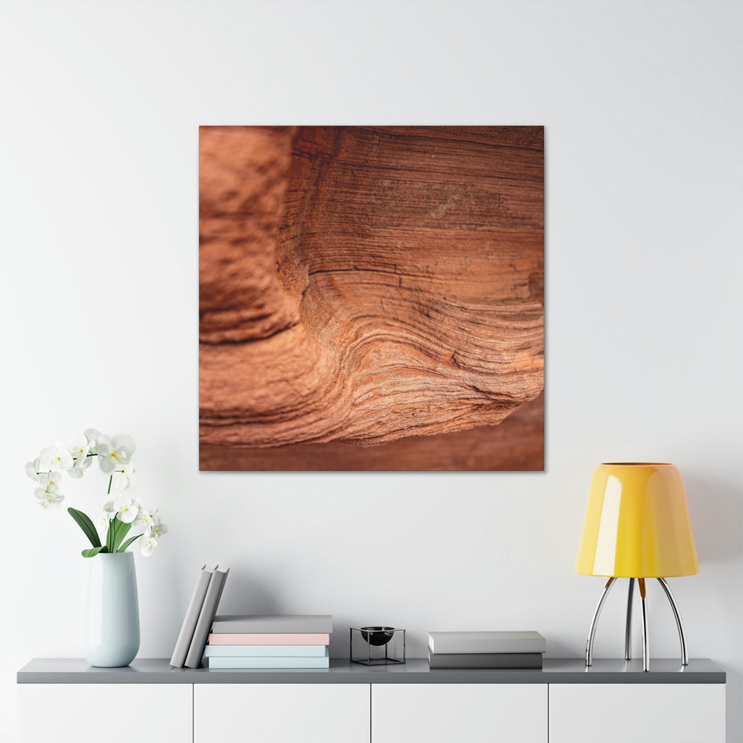 Sedimentary Rock Curves - Canvas