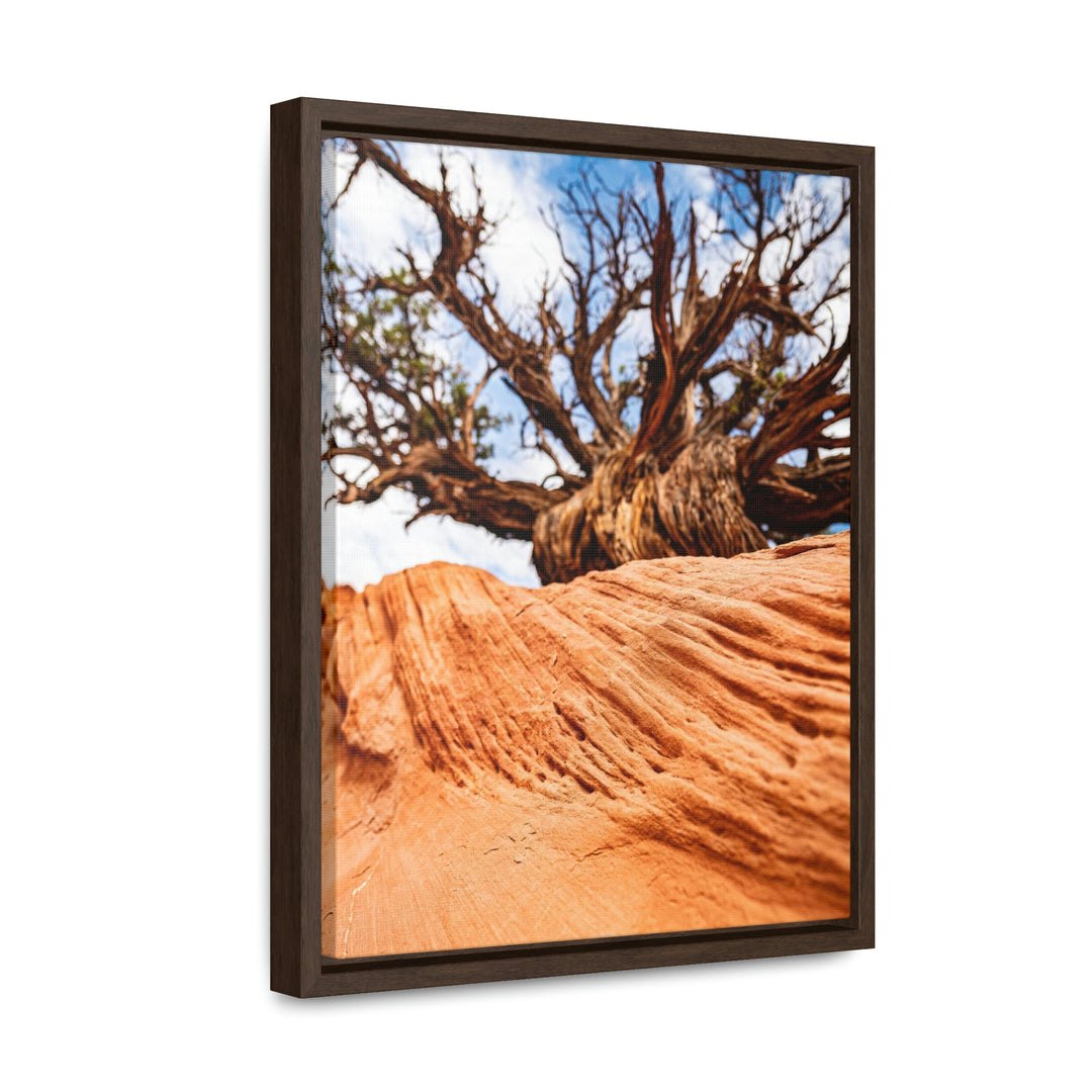 Desert Reach - Canvas with Frame