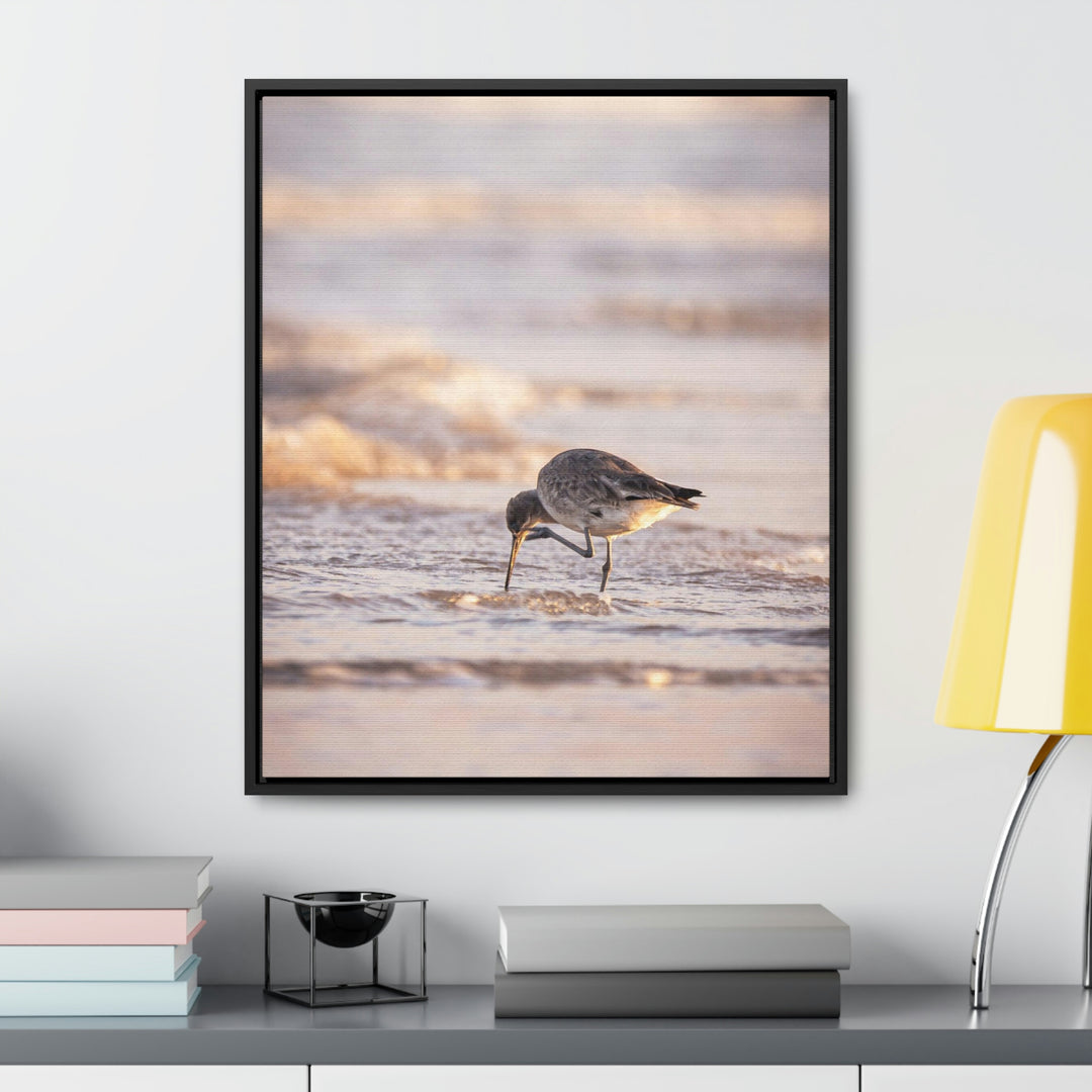 Willet Itch - Canvas with Frame