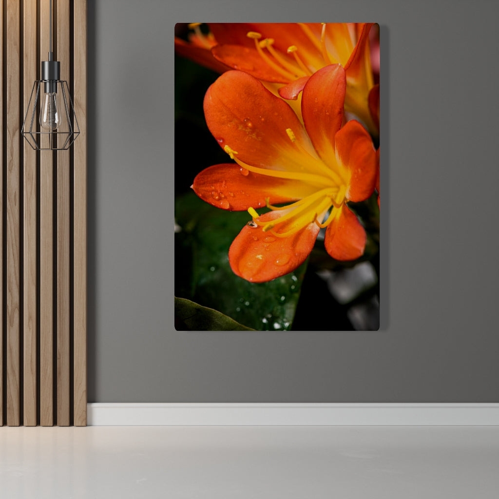 Bright Bush Lily - Canvas