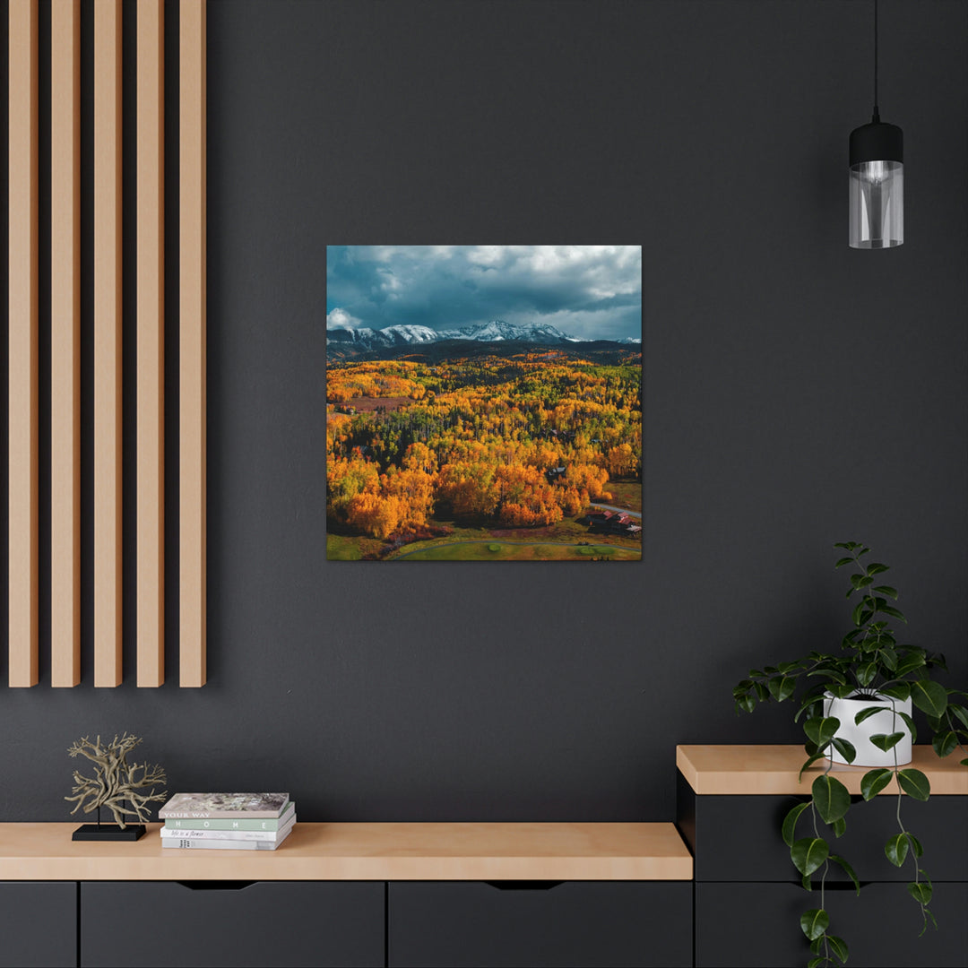 Golds of Autumn - Canvas