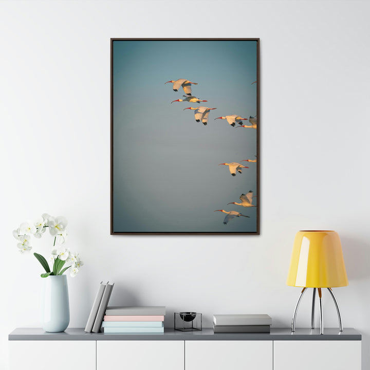 White Ibis in Flight - Canvas with Frame