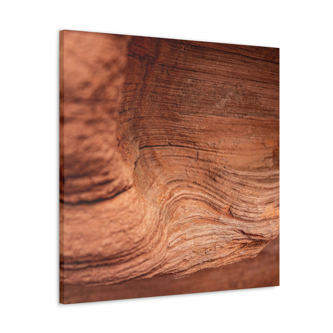 Sedimentary Rock Curves - Canvas