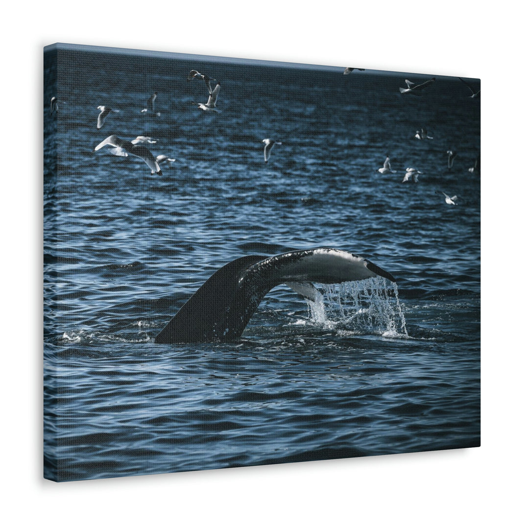 Feeding Tail - Canvas