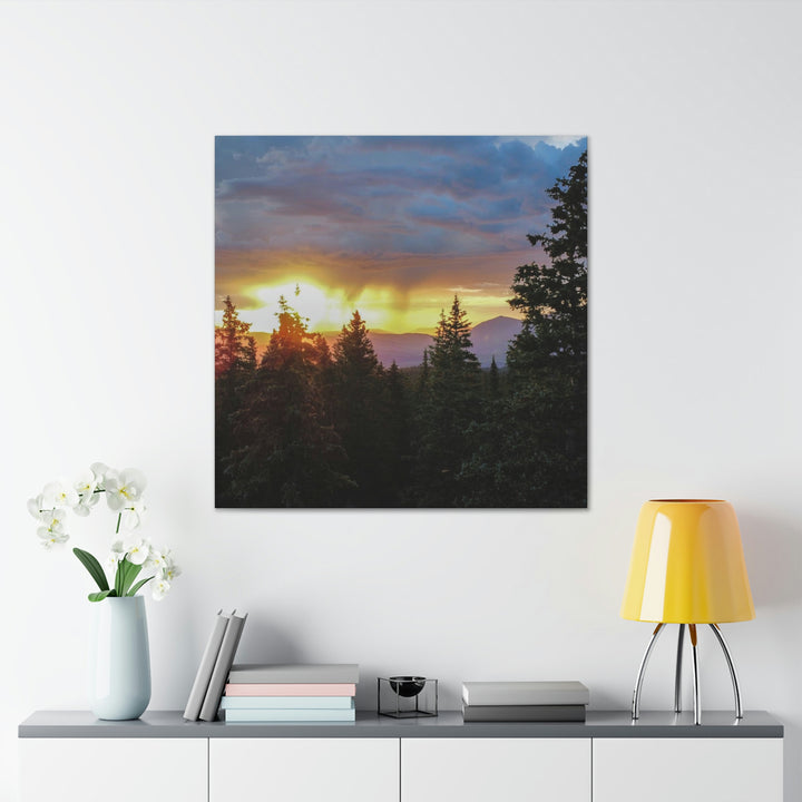 Rainy Sunset Through the Trees - Canvas