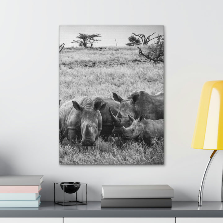 Rhino Family in Black and White - Canvas