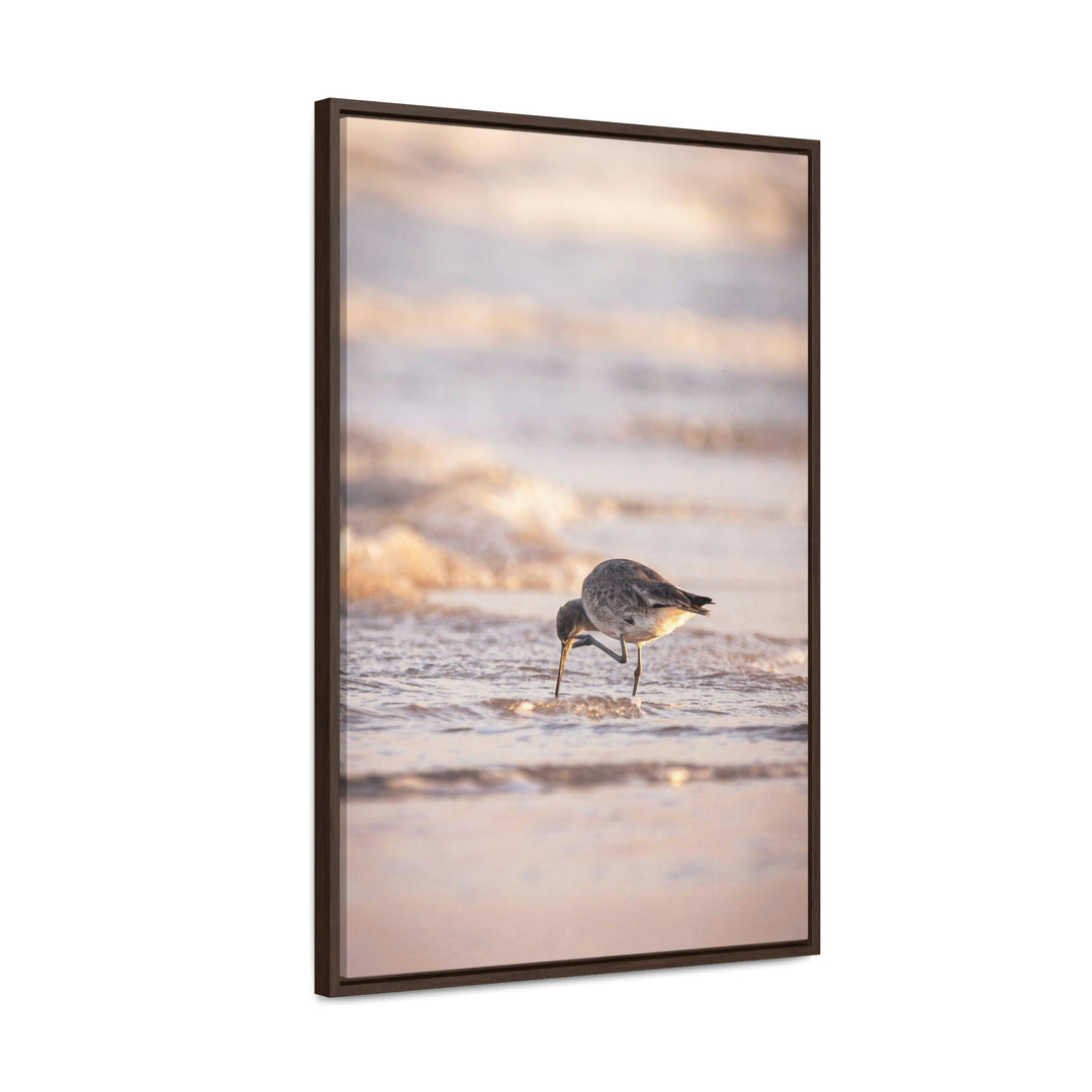 Willet Itch - Canvas with Frame