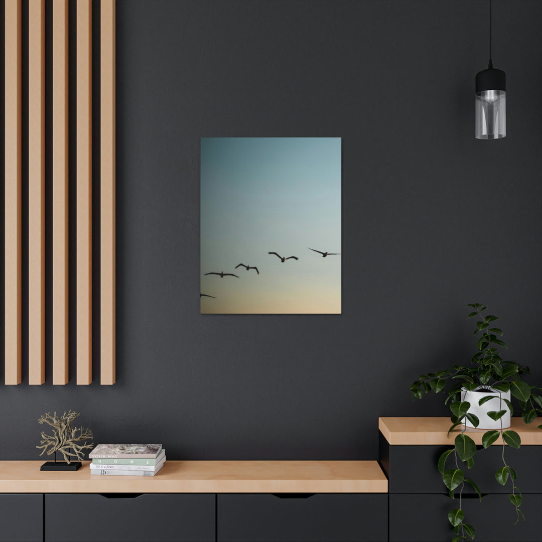 Brown Pelicans in Flight - Canvas