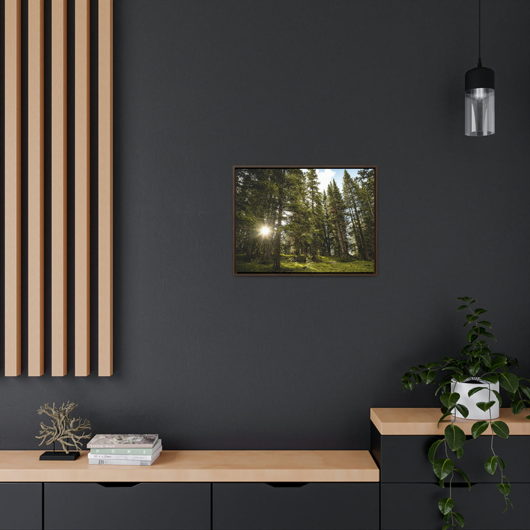 Forest Light - Canvas with Frame