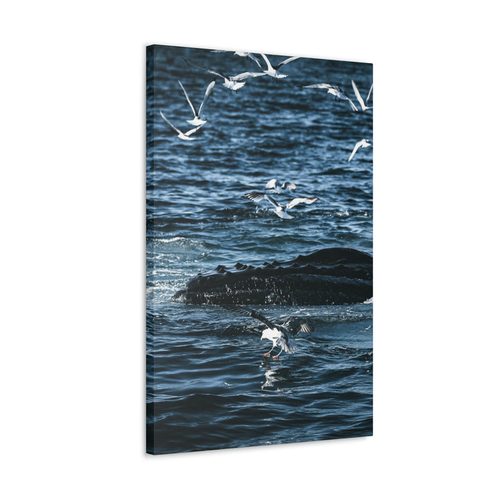 Humpback Hello - Canvas