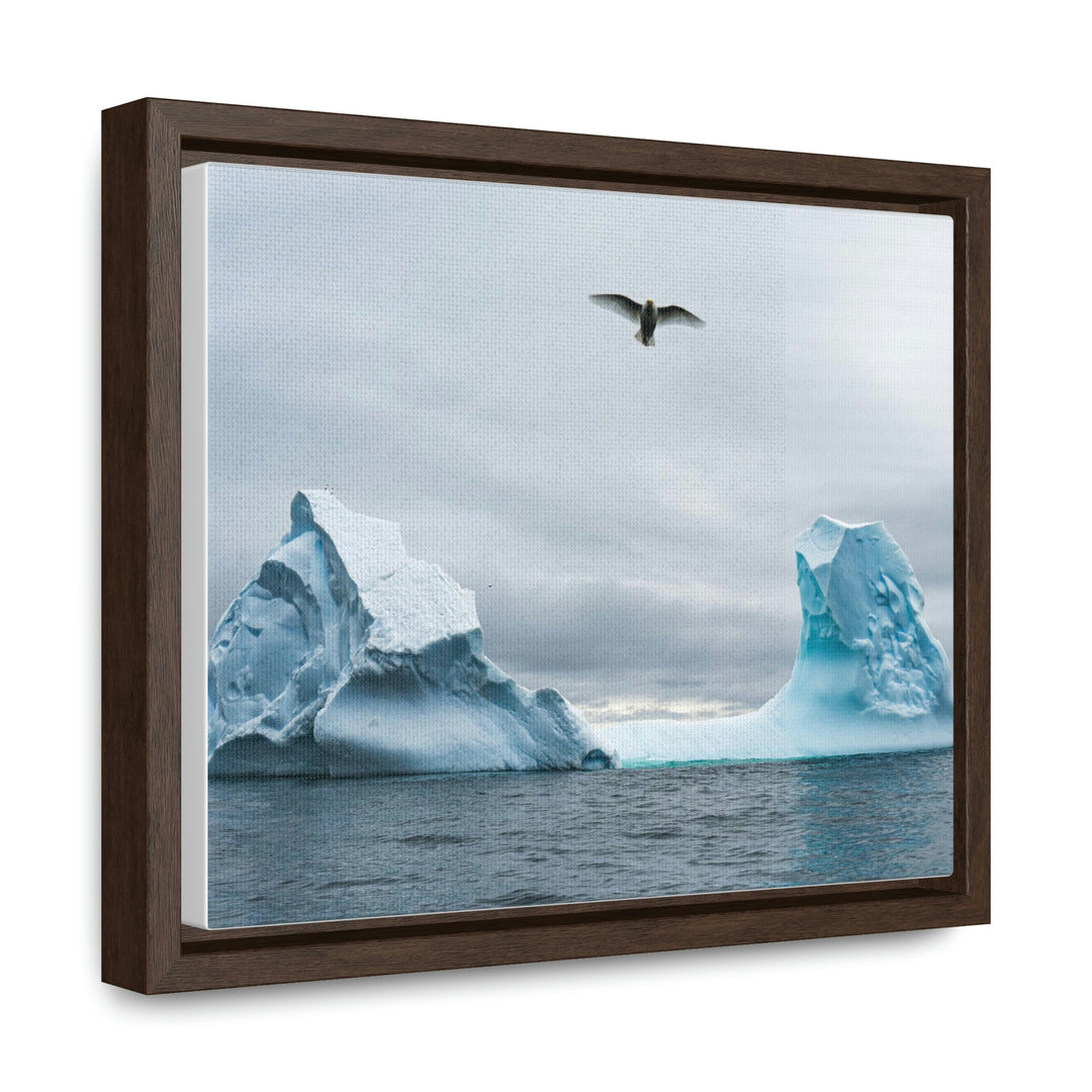 Antarctic Flight - Canvas with Frame