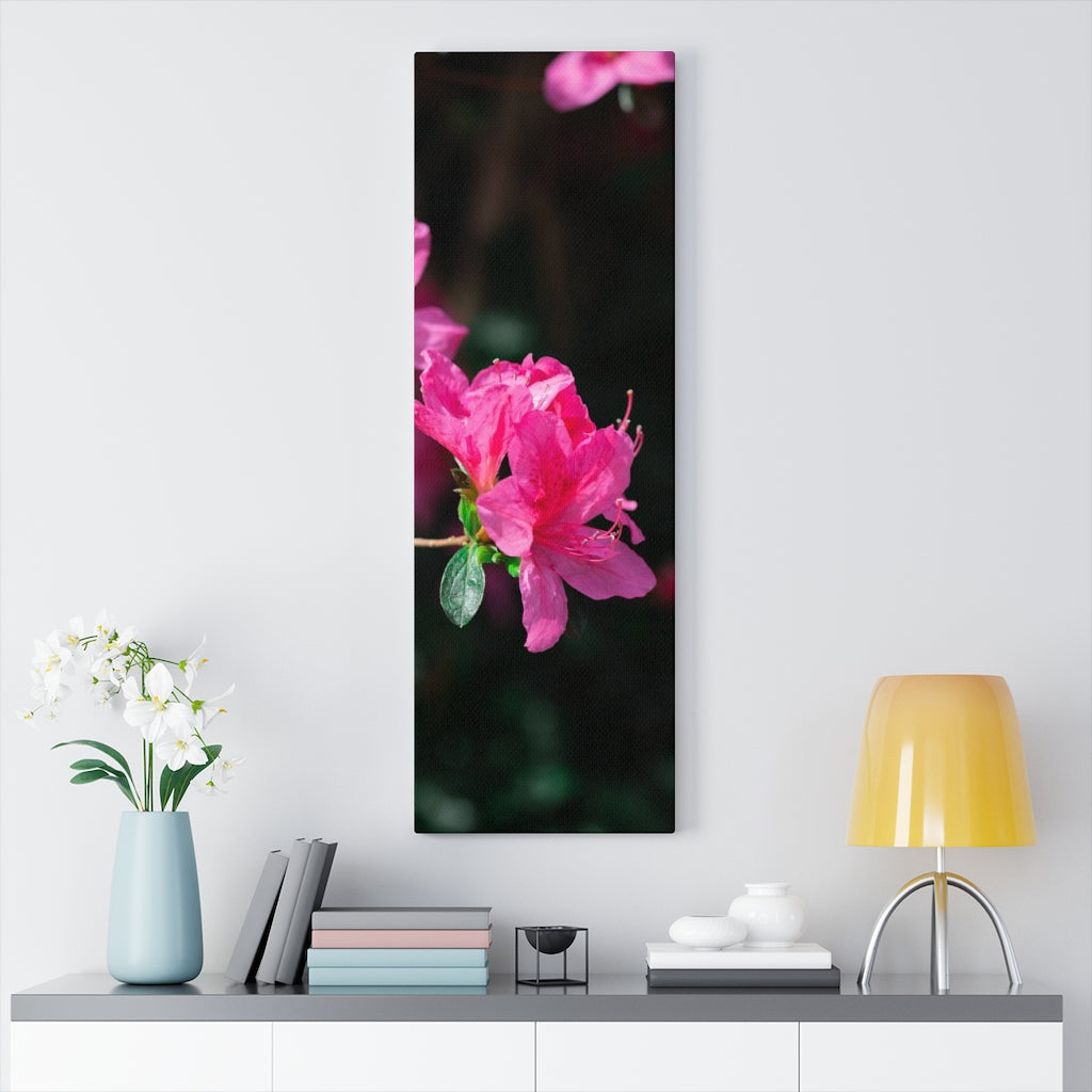 Standout Azalea - Canvas