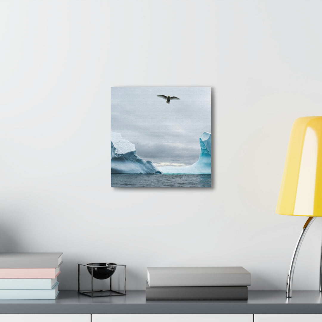 Antarctic Flight - Canvas