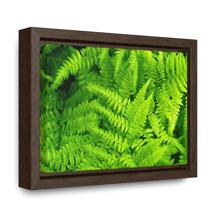 Ferns, Ferns, Ferns - Canvas with Frame