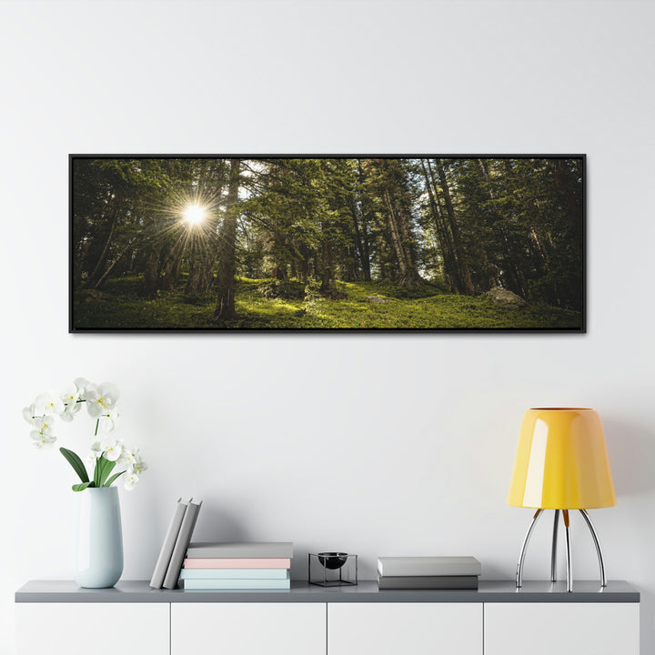 Forest Light - Canvas with Frame