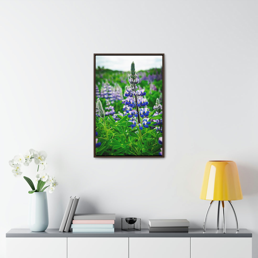 Glowing Lupin - Canvas with Frame