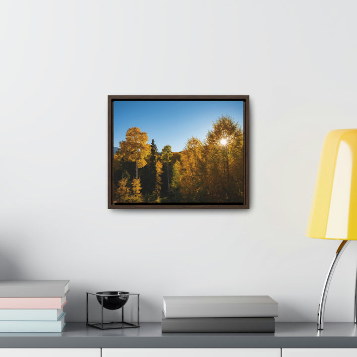 Sun Through the Aspens - Canvas with Frame