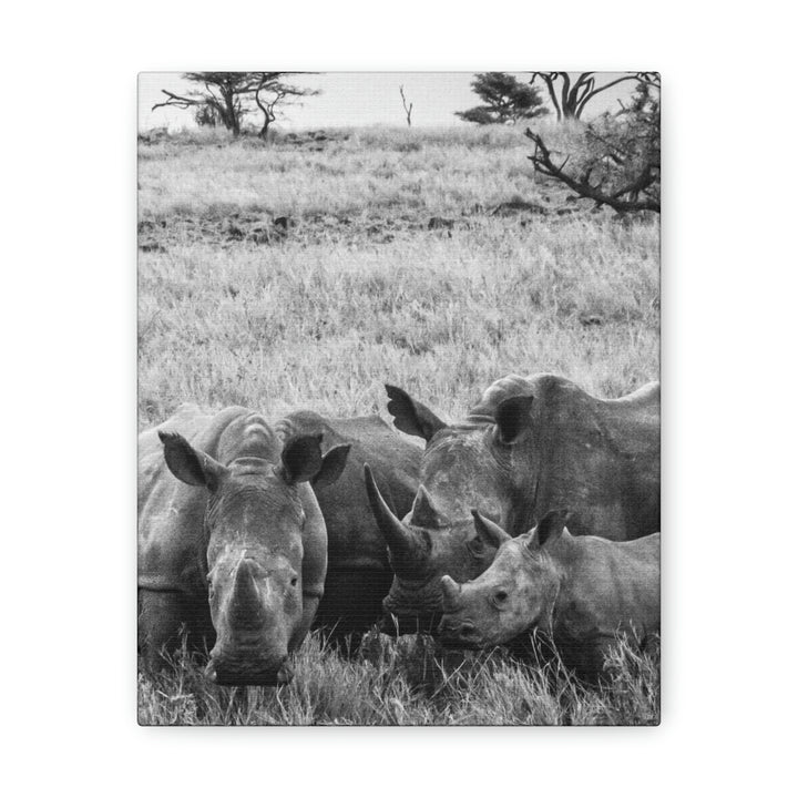 Rhino Family in Black and White - Canvas