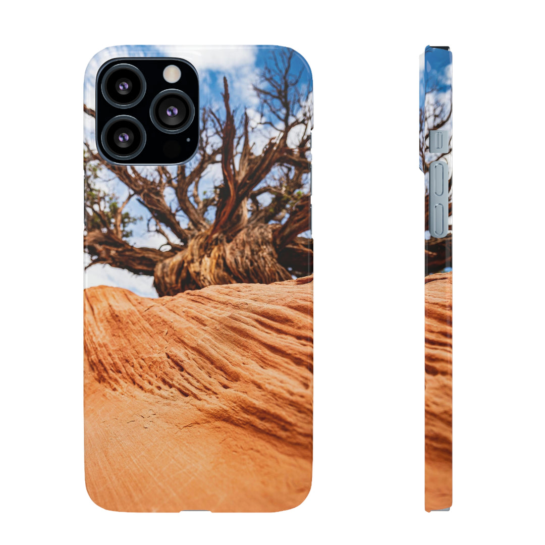 Desert Reach - Phone Case