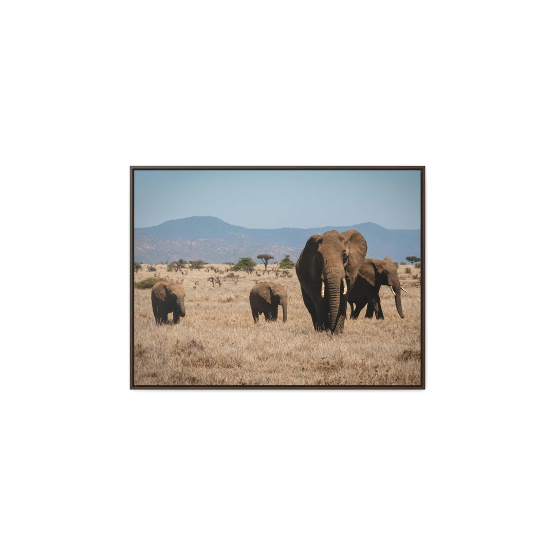 Family March - Canvas With Frame