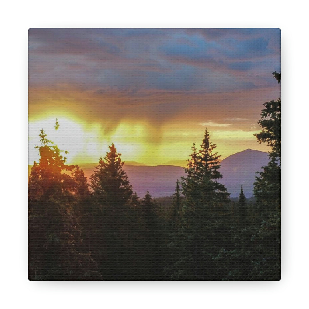 Rainy Sunset Through the Trees - Canvas