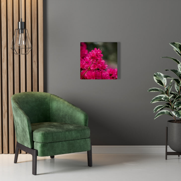 Full Bloom - Canvas