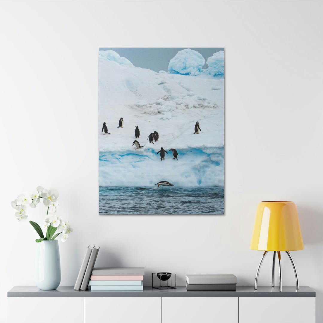 Porpoising Penguin - Canvas