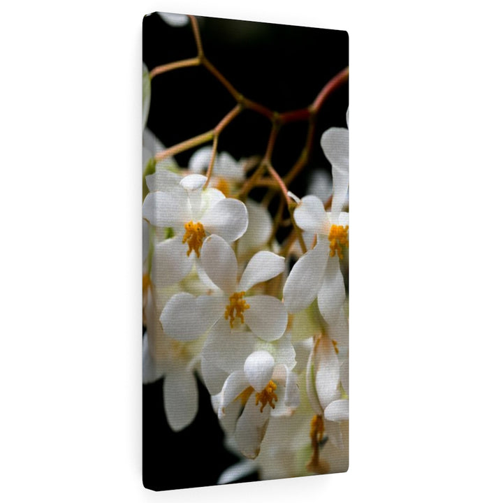 Floral Network - Canvas