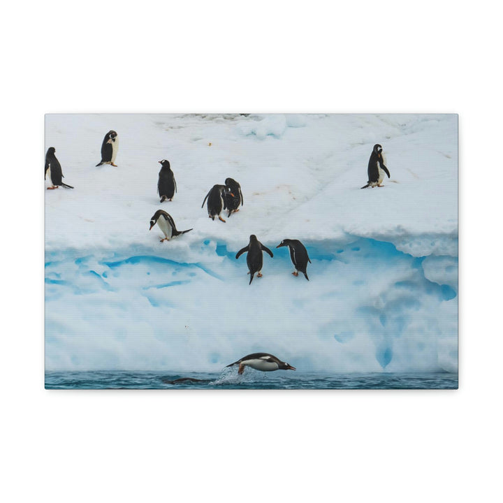 Porpoising Penguin - Canvas