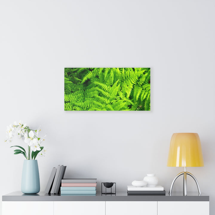 Ferns, Ferns, Ferns - Canvas