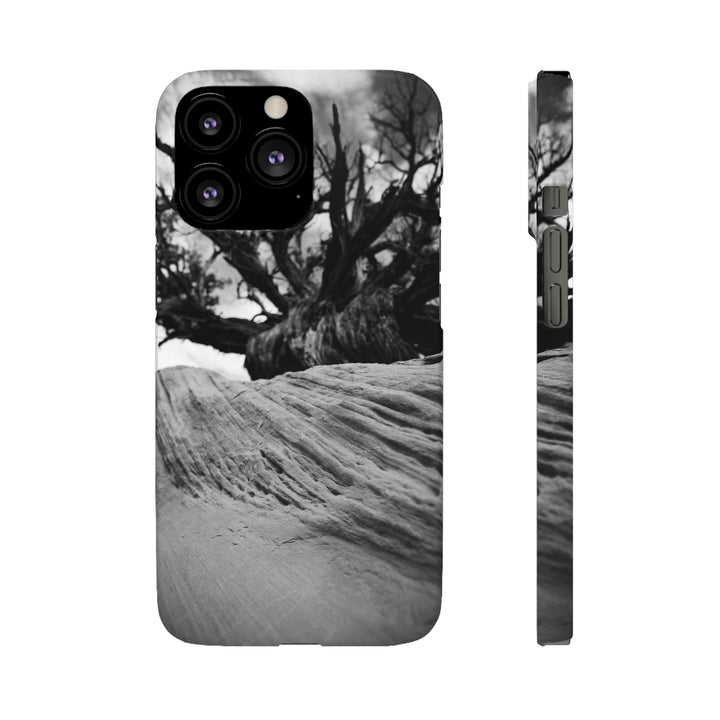 Desert Reach in Black and White - Phone Case