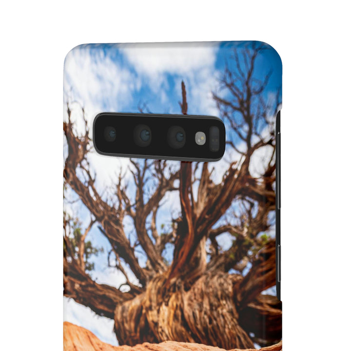 Desert Reach - Phone Case