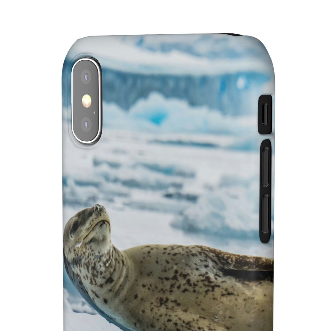 Leopard Seal Relaxing - Phone Case