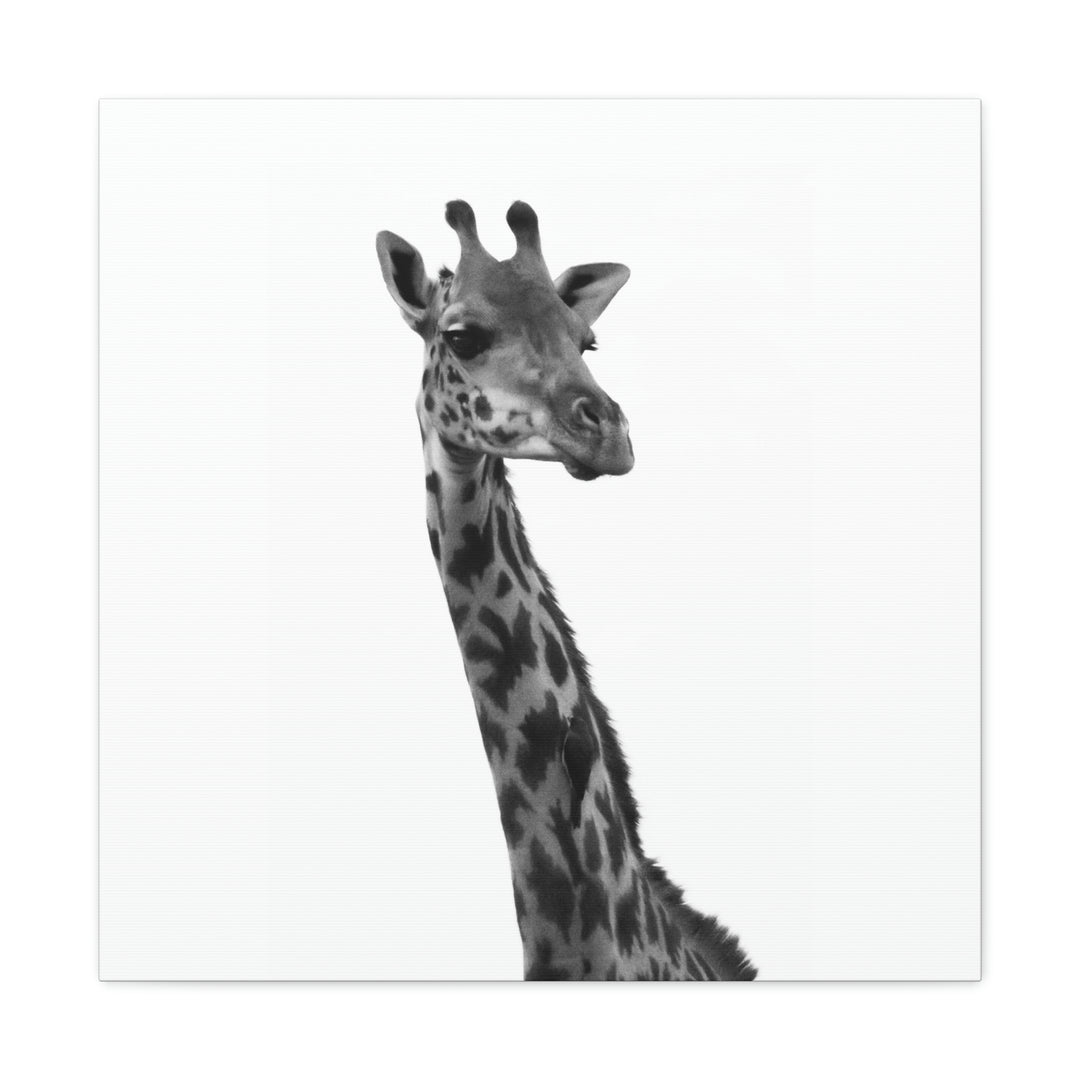 Giraffe Portrait in Black and White  - Canvas