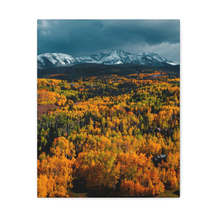 Golds of Autumn - Canvas