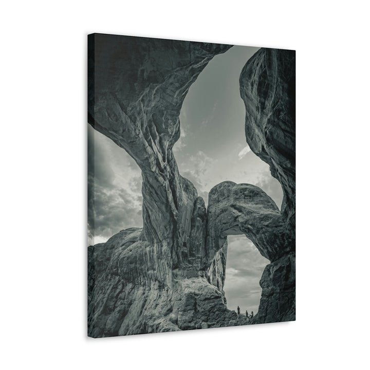 Natural Frames Part 1 in Black and White - Canvas