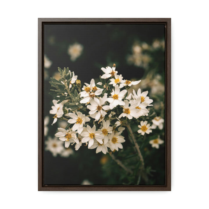 A Touch of White - Canvas with Frame