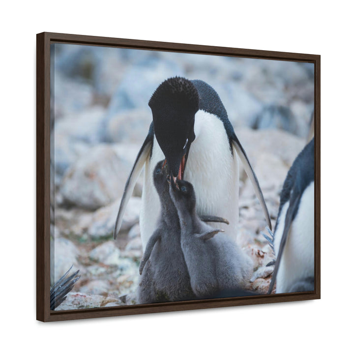 Feeding Time - Canvas with Frame