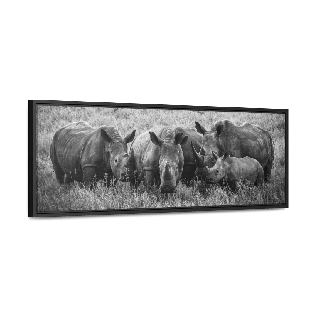 Rhino Family in Black and White - Canvas with Frame