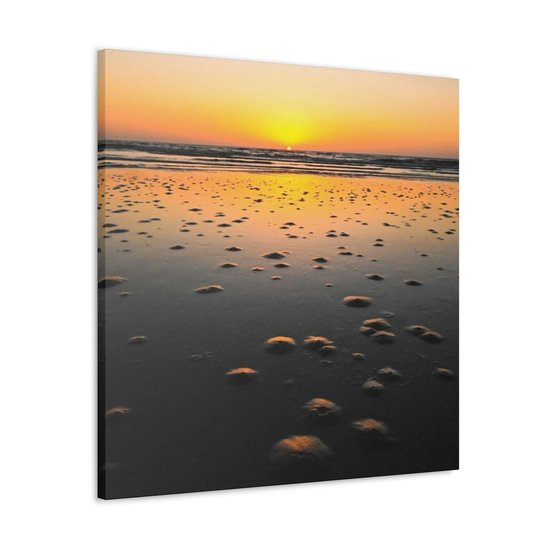 Burrows at Sunrise - Canvas