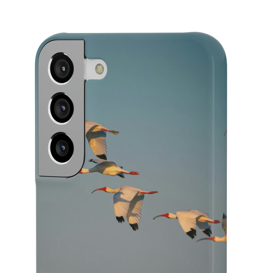 White Ibis in Flight - Phone Case